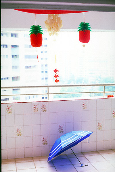 two fake pineapples and an umbrella (one of my first ever good pictures)