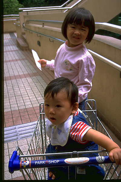 wong seng chak & oy yin in shopping cart