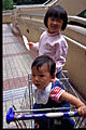 wong seng chak & oy yin in shopping cart