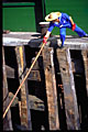 star ferry ferryman with pole, better