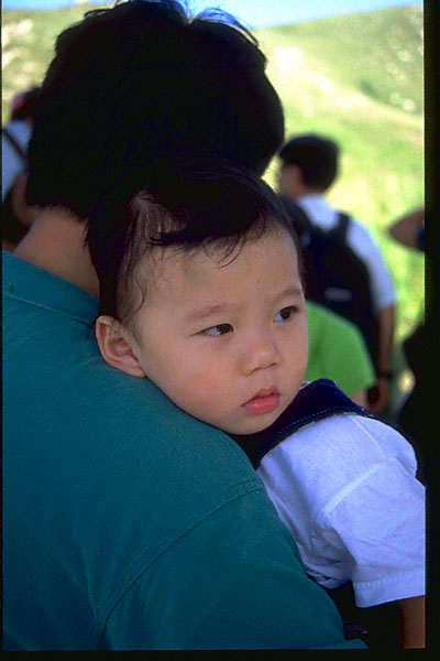 wong seng chak & wong meng kong
