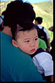 wong seng chak & wong meng kong