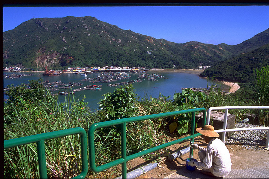 it's a big job, but someone's gotta do it!  Worker painting white railings green with sea, boats, hill in the background