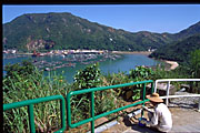 it's a big job, but someone's gotta do it!  Worker painting white railings green with sea, boats, hill in the background