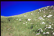 deep blue sky and rocks on hill field