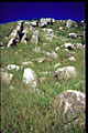 rocks and field hill