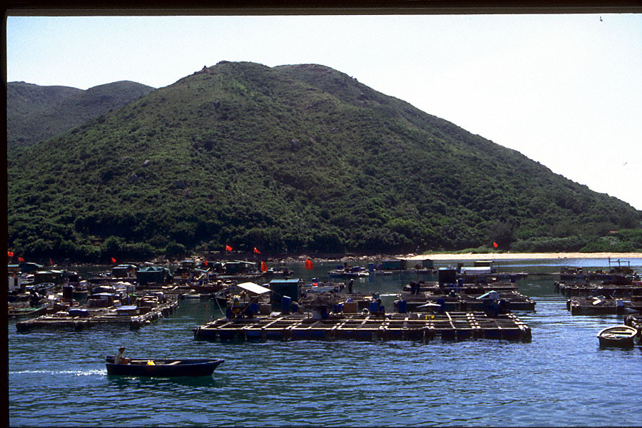 landscape with boats, sea, & hill